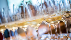 Sondertasting Weine der Loire, © ssc
