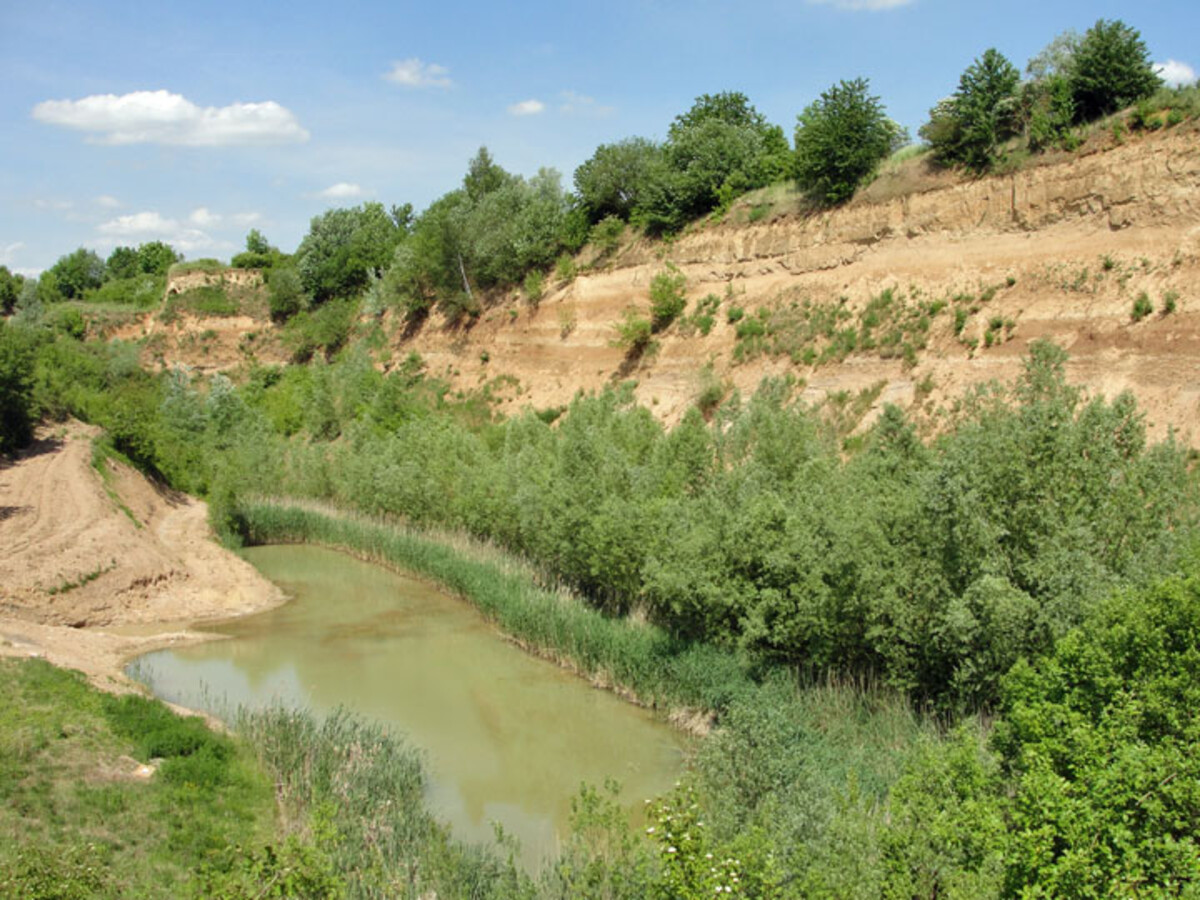 Der Teich am Fuß der Steilwand ist wichtiger Lebensraum für Amphibien und Libellen. 