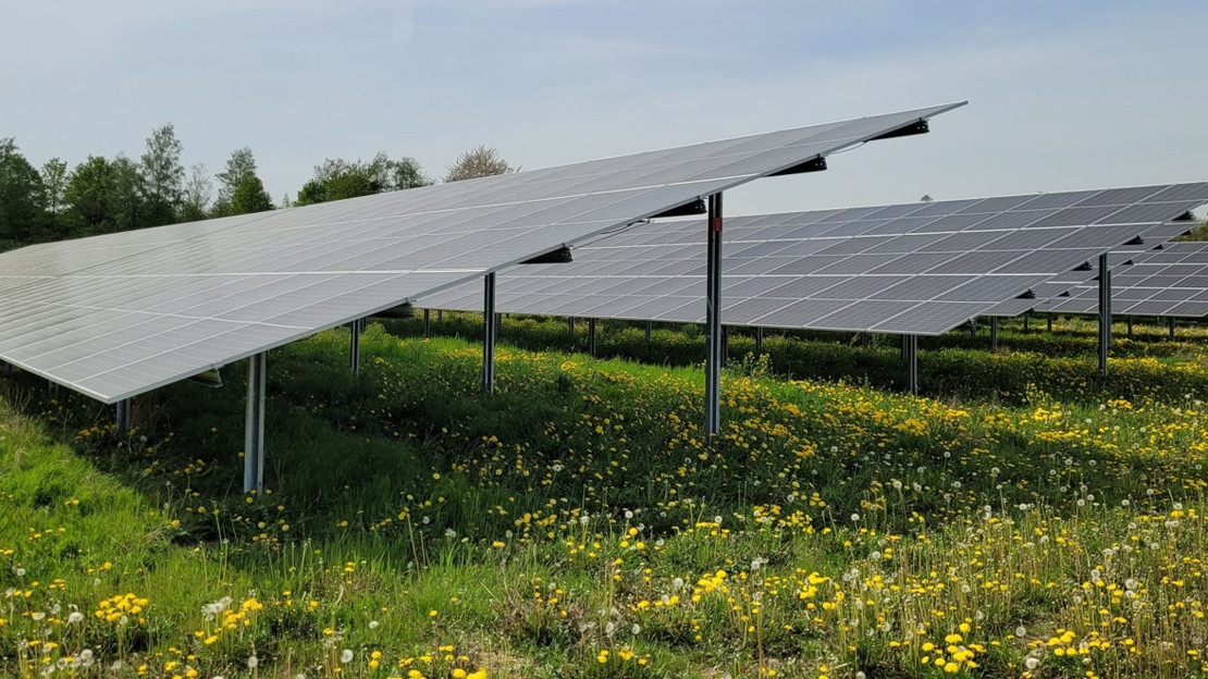 Freiflächen-Photovoltaikanlagen sind besonders effizient, weil sie große Mengen klimafreundlichen Stroms auf direktem Weg erzeugen und flexibel geplant werden können. Foto: CARMEN e.V.