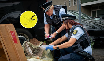 Das Bild zeigt eine Streife der Waste Watcher mt zwei Frauen, die illegal abgelegten Müll nach Hinweisen auf den Verursacher durchsuchen.