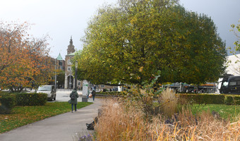 Das Bild zeigt einen Teil des Stadtgartens und die große Flügelnuss an der Harmonie. Hier gilt das nun verlängerte Alkoholverbot.