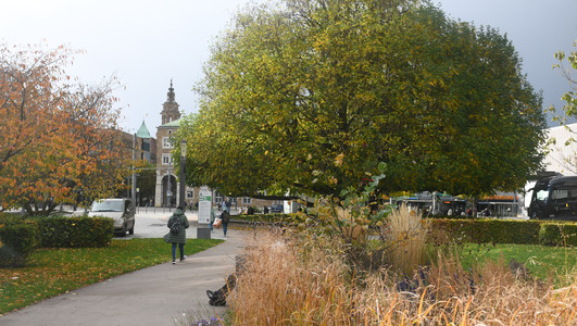 Das Bild zeigt einen Teil des Stadtgartens und die große Flügelnuss an der Harmonie. Hier gilt das nun verlängerte Alkoholverbot. 