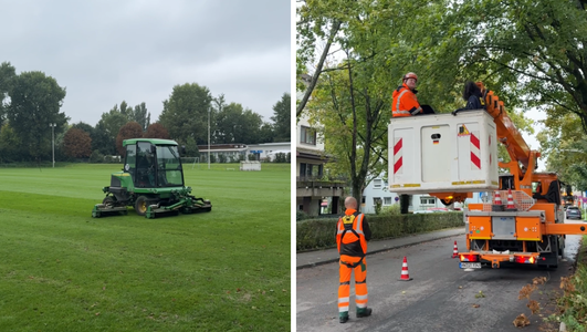 Vor dem Winter werden nochmal alle Grünflächen für die kalten Temperaturen fit gemacht. Fotos: Stadt Heilbronn