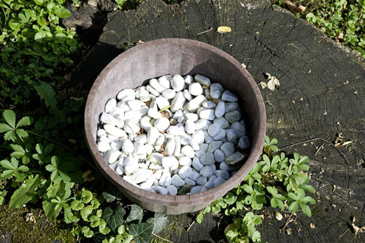 Schale mit Steinen