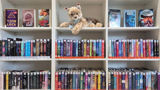 Man sieht ein Bücherregal