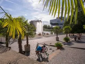 Menschen sitzen in der Sonne. Es stehen Palmen da. Sie sind am Neckar.