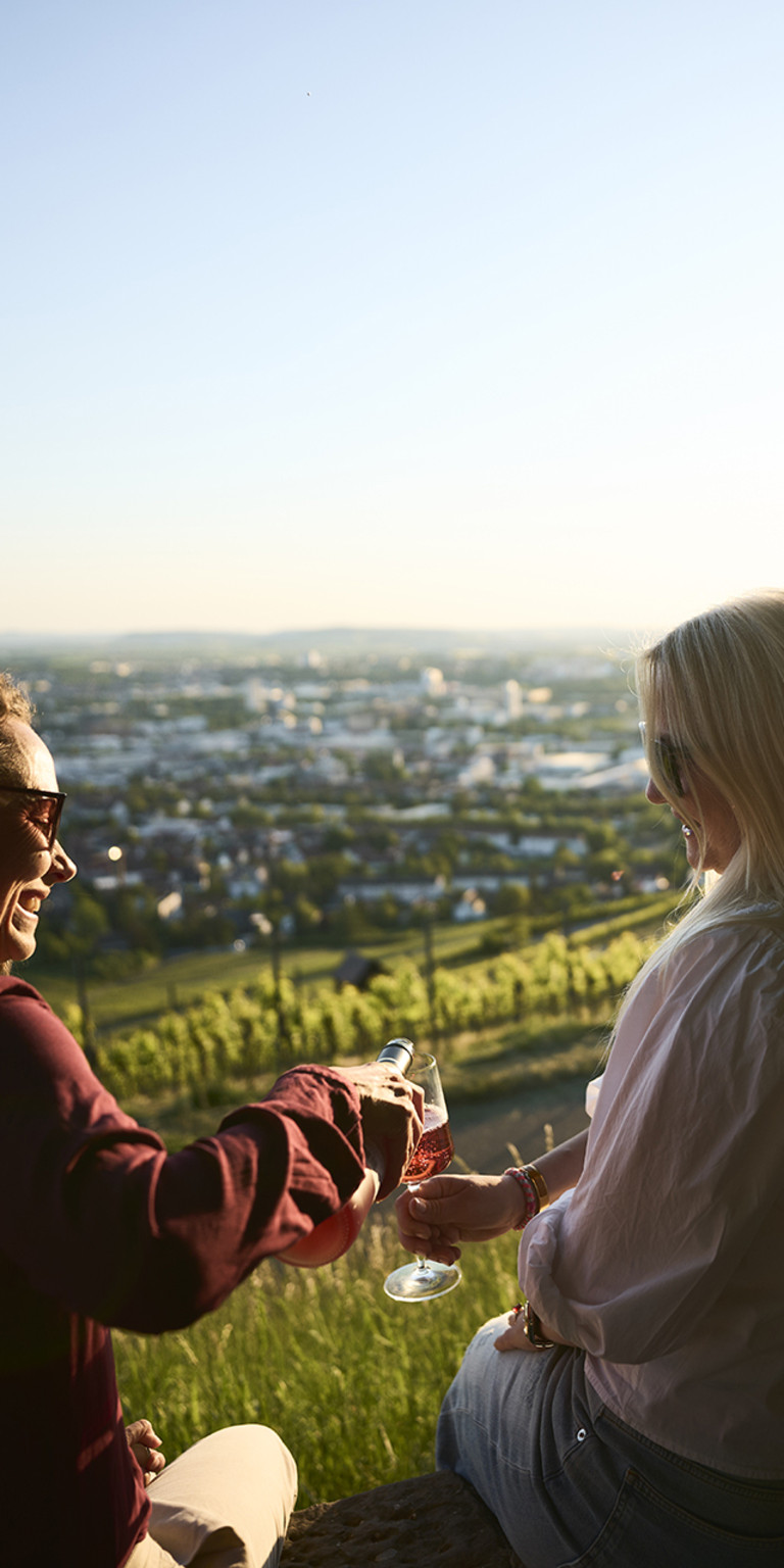Eine Gruppe sitzt am Heilbronner Wartberg und genießt ein Glas Wein