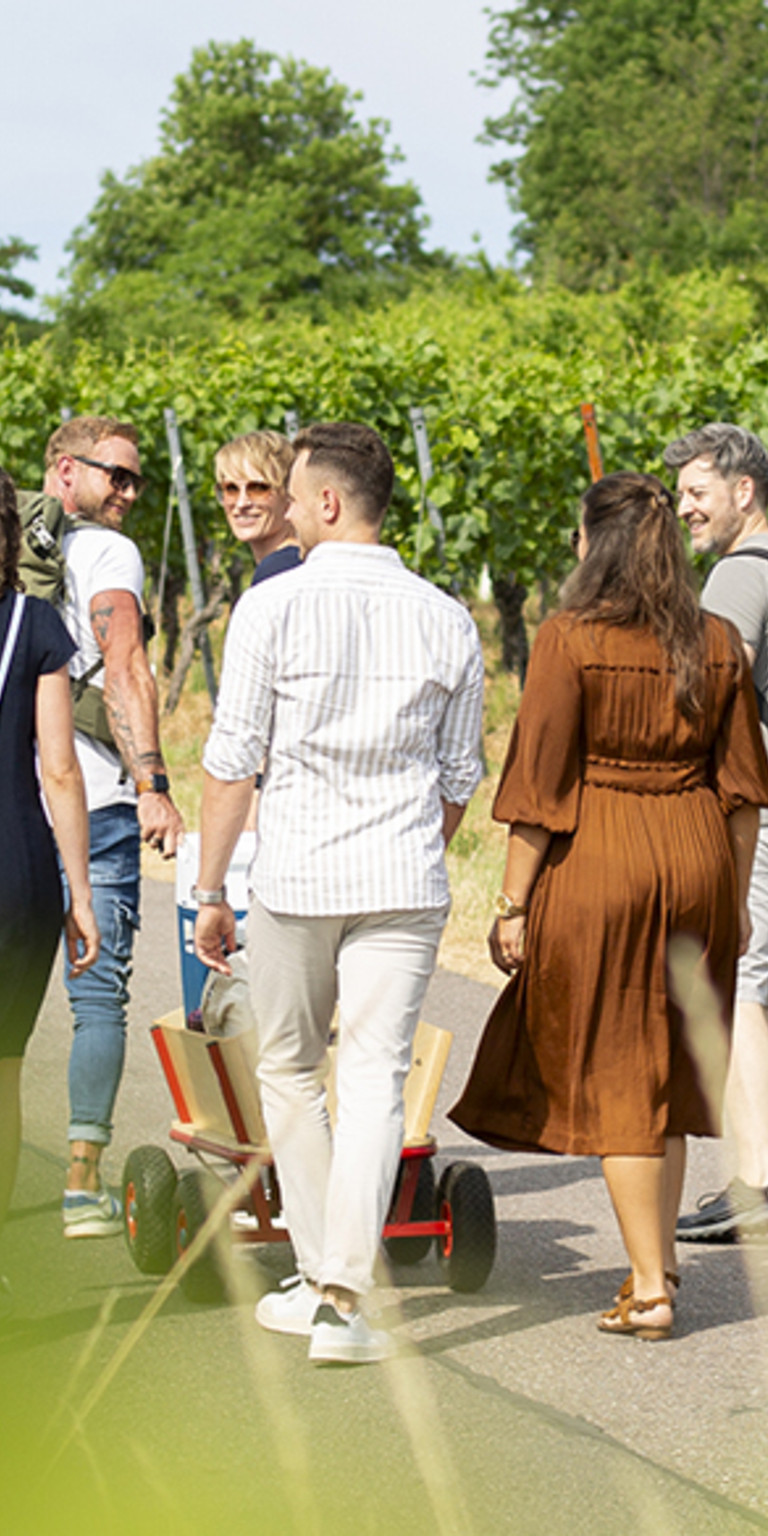 Bollerwagentour in den Heilbronner Weinbergen