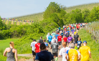 Heilbronner Trollinger Marathon