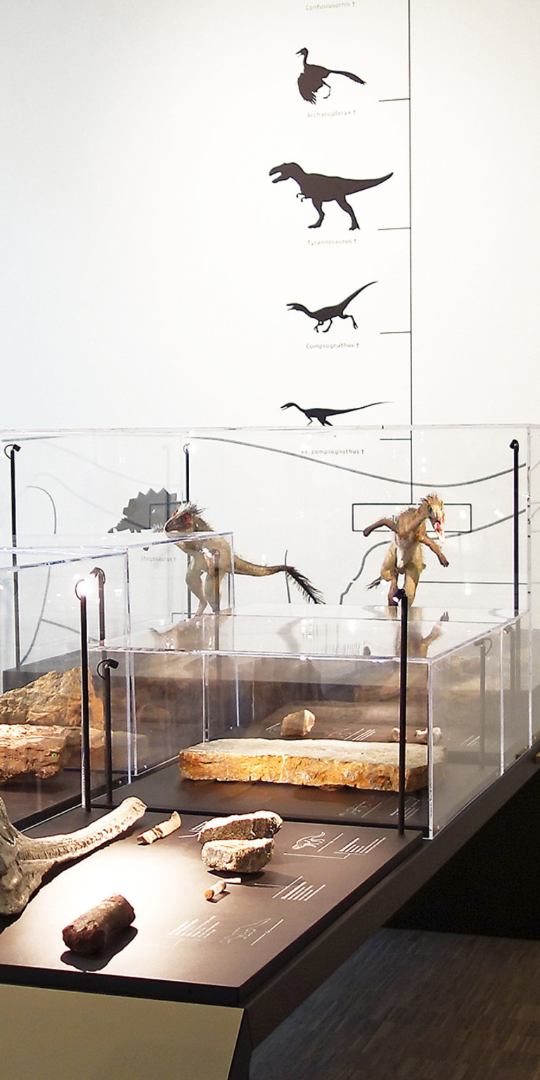 Museum im Deutschhof