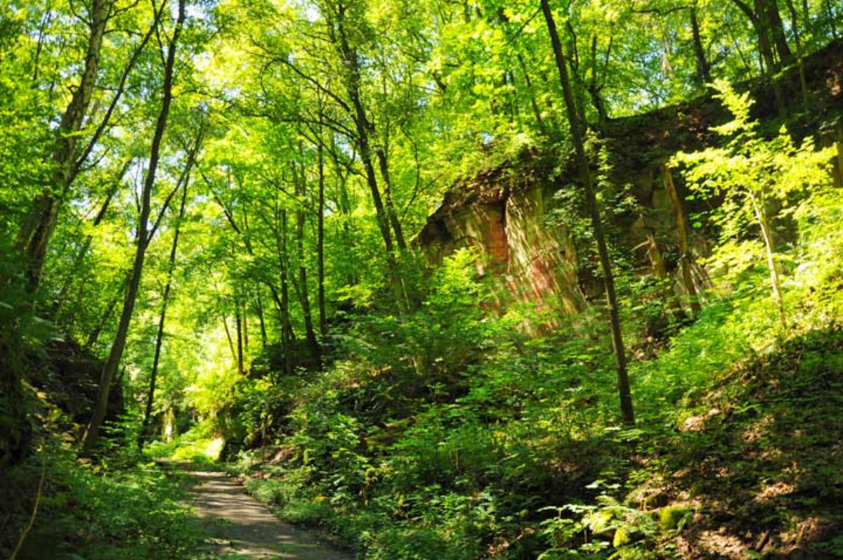 Geologischer Lehrpfad im Stadtwald Ost