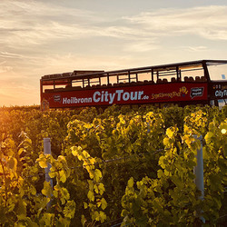 Lichterfahrt im Hop-On-Hop-Off-Bus