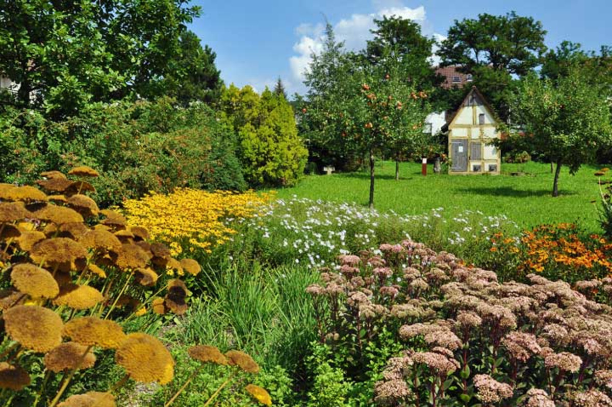 Spätsommer im Botanischen Obstgarten