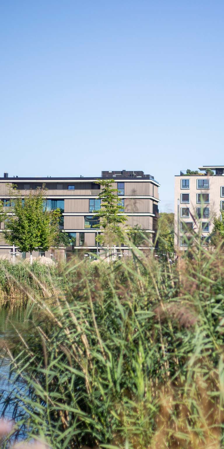 Stadtquartier Neckarbogen Heilbronn