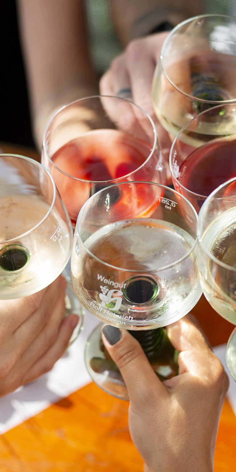 Bollerwagentour in den Heilbronner Weinbergen