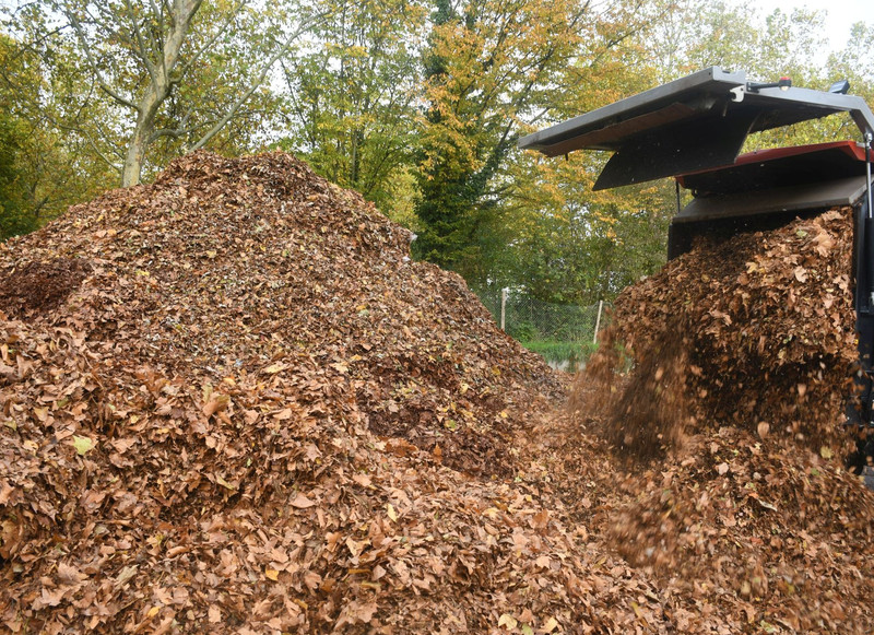 Das Bild zeigt die Laubberge am Sammelplatz an der Viehweide. Hier werden die Laubmassen zwischengelagert und werden von einer Kompostierungsfirma dann abgeholt.