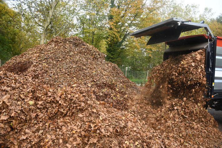 Das Bild zeigt die Laubberge am Sammelplatz an der Viehweide. Hier werden die Laubmassen zwischengelagert und werden von einer Kompostierungsfirma dann abgeholt.