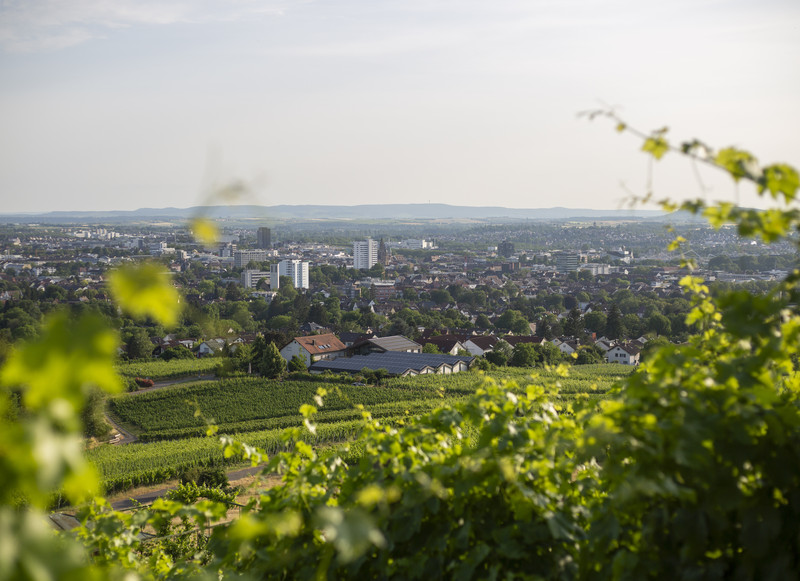 Nicht zuletzt dank seiner Aussicht ist der Wartberg ein beliebtes Ausflugsziel (Foto: Heilbronn Marketing GmbH/Maya Baum)