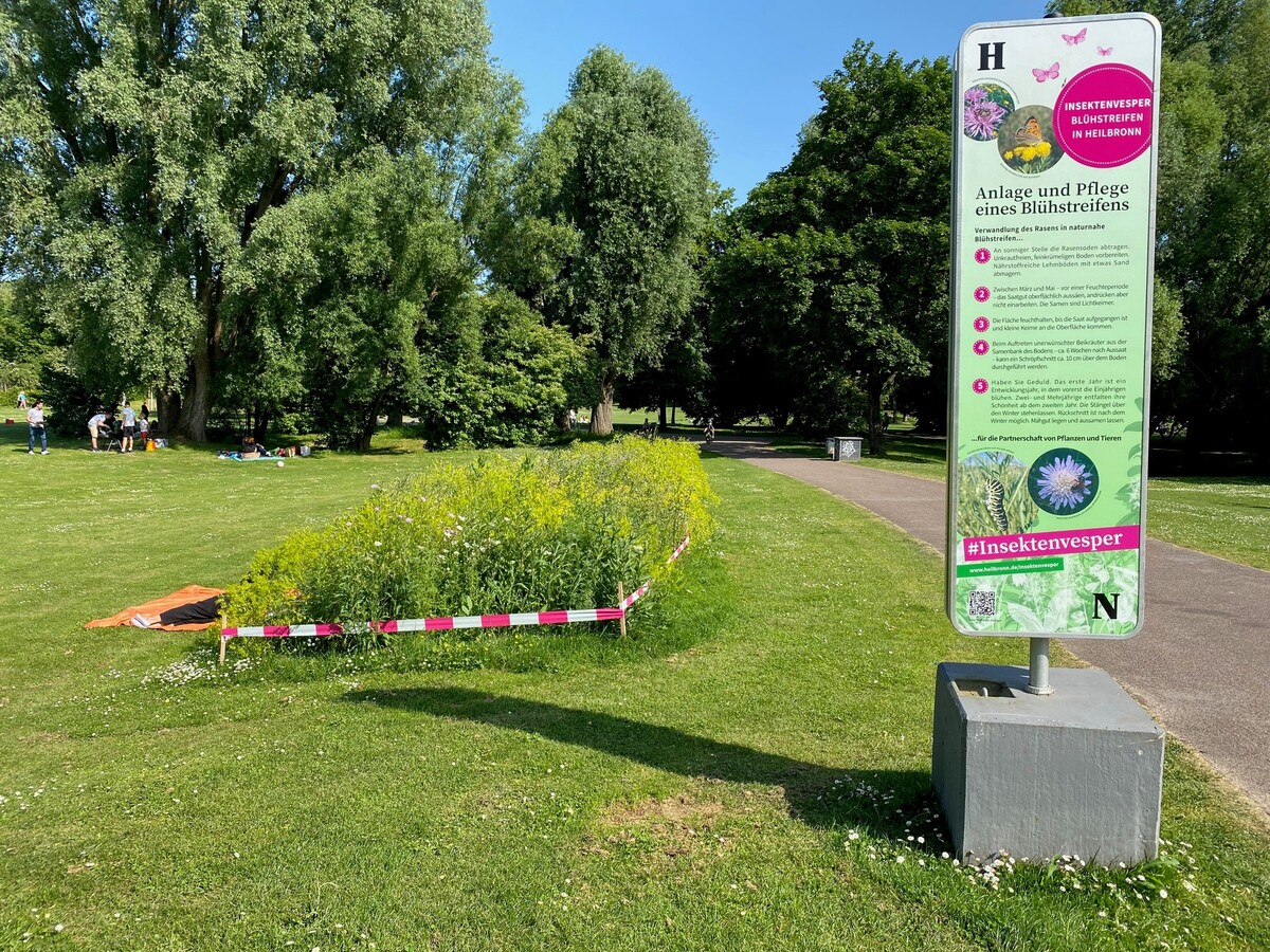 An zahlreichen Stellen in Heilbronner Parks wird zur #Insektenvesper aufgerufen (Foto: Grünflächenamt)