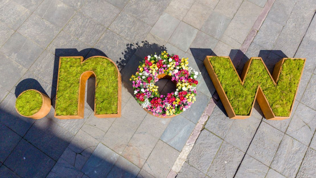 Auf dem Foto ist ein Blumenbeet dargestellt, dass die Buchstaben now darstellt. Das ist das Motto der Grünen Hauptstadt Europas 2027.