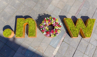 Auf dem Foto ist ein Blumenbeet dargestellt, dass die Buchstaben now darstellt. Das ist das Motto der Grünen Hauptstadt Europas 2027.