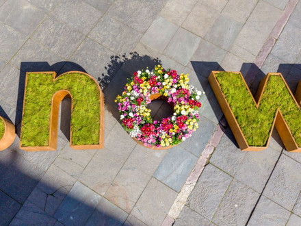 Auf dem Foto ist ein Blumenbeet dargestellt, dass die Buchstaben now darstellt. Das ist das Motto der Grünen Hauptstadt Europas 2027.