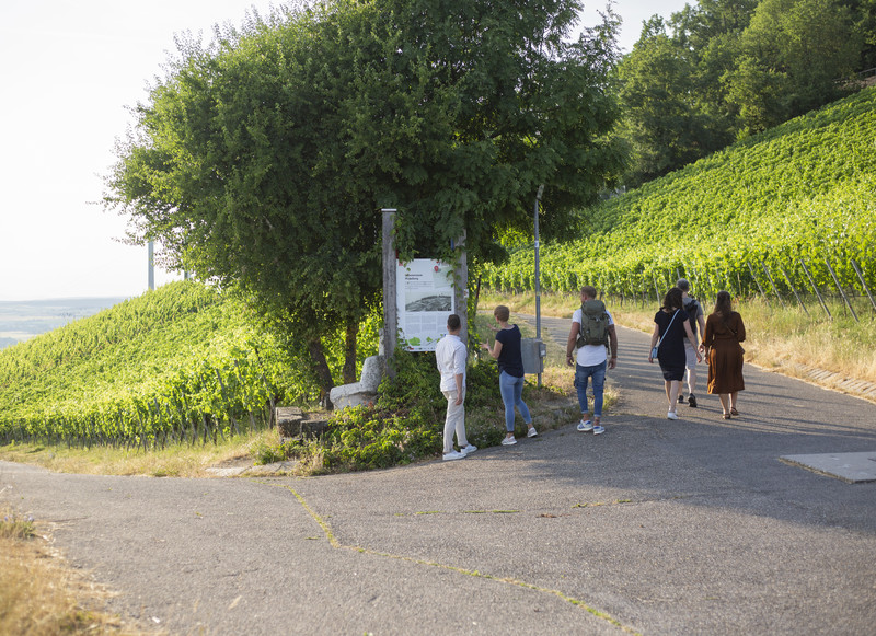 Nach dem gemeinsamen Spaziergang durch die Weinberge kann man sich im Restaurant oder Biergarten kulinarisch verwöhnen lassen (Foto: Heilbronn Marketing GmbH/Maya Baum)
