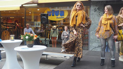 VIVA - Petra Kern