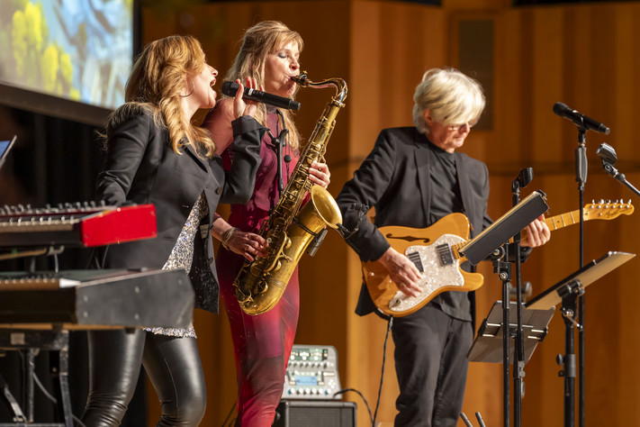 Das Bild zeigt die Band "Heilbronn Soul" in Aktion auf der Bühne der Harmnonie.