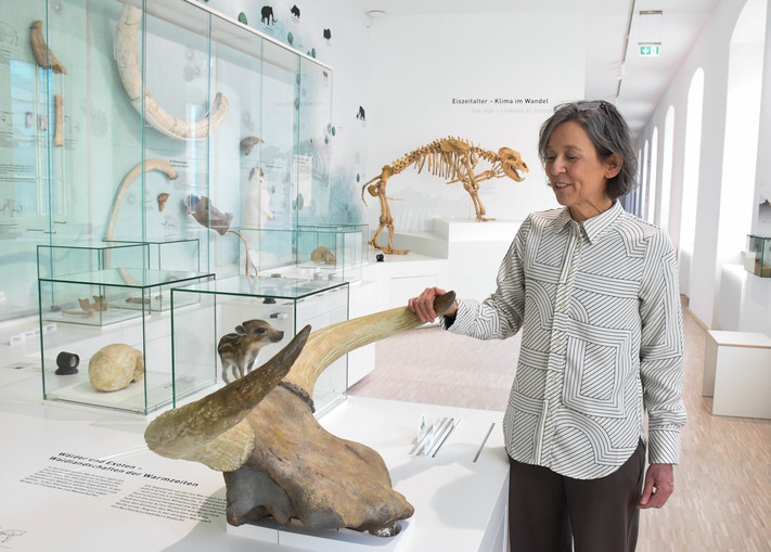Das Bild zeigt Museumsmitarbeiterin Birgit Hummler an den Hörnern eines Auerochsen aus dem Eiszeitalter. 