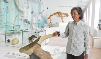 Das Bild zeigt Museumsmitarbeiterin Birgit Hummler an den Hörnern eines Auerochsen aus dem Eiszeitalter.