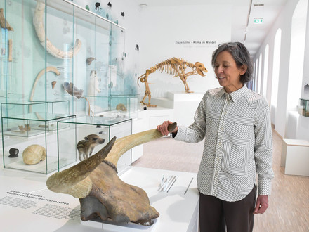 Das Bild zeigt Museumsmitarbeiterin Birgit Hummler an den Hörnern eines Auerochsen aus dem Eiszeitalter.