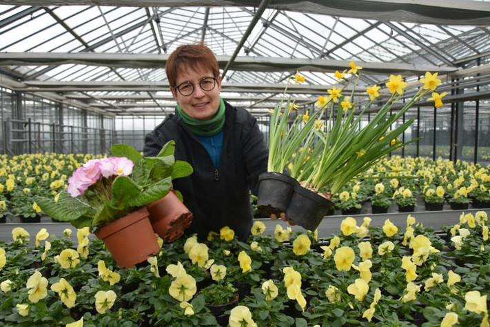Dem Frühling auf die Sprünge hilft die Floristin und Gärtnerin Ulrike Marhoffer in der Heilbronner Stadtgärtnerei
