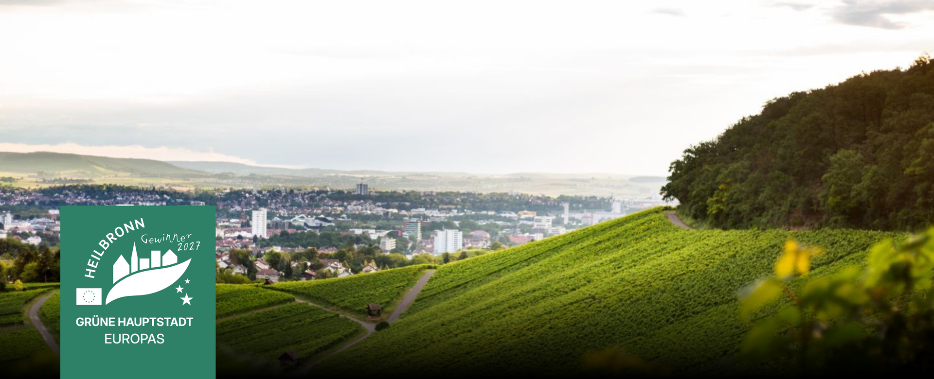 Schmuckbild: Das Foto zeigt die Stadt Heilbronn von den Weinbergen aus.