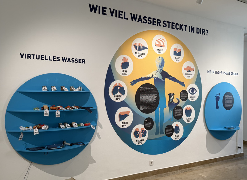 Wie viel Wasser steckt in uns – und in den Dingen, die wir täglich konsumieren? Die Ausstellung „H2Oho!“ macht auch den oft unsichtbaren Wasserverbrauch von Alltagsprodukten sichtbar.
