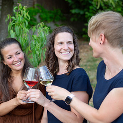 Weingenuss in den Heilbronner Weinbergen