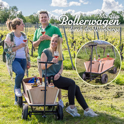 Mit dem Bollerwagen durch die Heilbronner Weinberge