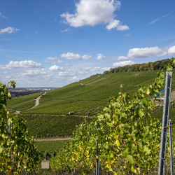 Blick auf den Heilbronner Wartberg