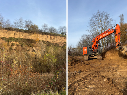Freigestellte Lösssteilwände, verbuschte Hänge und der Bagger bei den aktuellen Pflegearbeiten im Naturschutzgebiet Frankenbacher Schotter sichern die besonderen Lebensräume für Amphibien und Insekten. Foto: Stadt Heilbronn