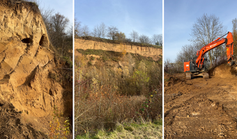 Freigestellte Lösssteilwände, verbuschte Hänge und der Bagger bei den aktuellen Pflegearbeiten im Naturschutzgebiet Frankenbacher Schotter sichern die besonderen Lebensräume für Amphibien und Insekten. Foto: Stadt Heilbronn