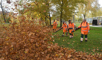 Das Bild zeigt ein Team des Betriebsamts in orangefarbenen Overalls, die mit Laubbläsern in der Hand im Campuspark die Laubmengen auf den Grasflächen zu kleinen Hügeln zusammenblasen.