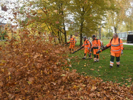 Das Bild zeigt ein Team des Betriebsamts in orangefarbenen Overalls, die mit Laubbläsern in der Hand im Campuspark die Laubmengen auf den Grasflächen zu kleinen Hügeln zusammenblasen.