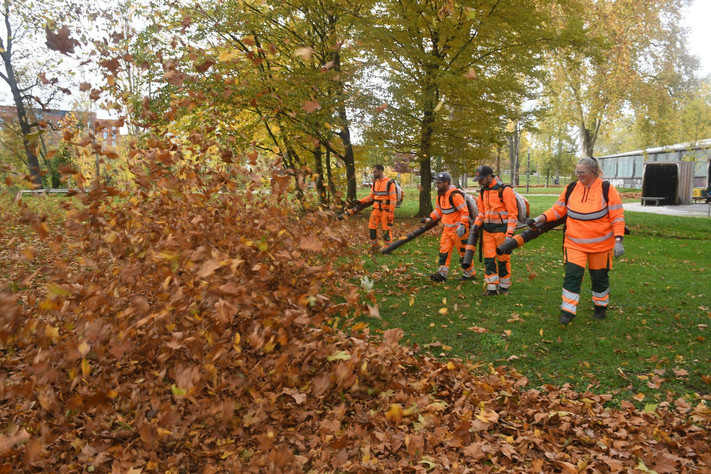 Das Bild zeigt ein Team des Betriebsamts in orangefarbenen Overalls, die mit Laubbläsern in der Hand im Campuspark die Laubmengen auf den Grasflächen zu kleinen Hügeln zusammenblasen.