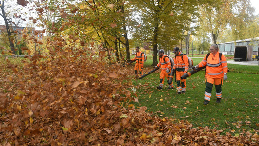 Das Bild zeigt ein Team des Betriebsamts in orangefarbenen Overalls, die mit Laubbläsern in der Hand im Campuspark die Laubmengen auf den Grasflächen zu kleinen Hügeln zusammenblasen. 