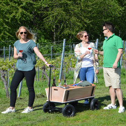 Bollerwagentour durch die Weinberge