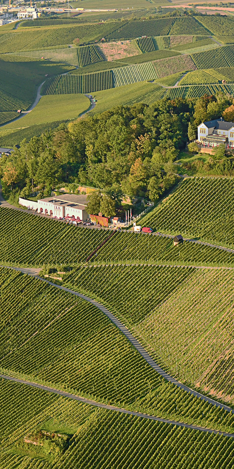 Blick auf den Heilbronner Wartberg