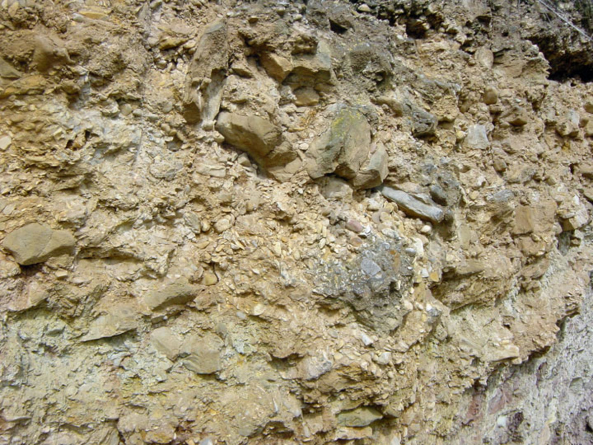 Die zu Nagelfluh verbackenen Neckarschotter setzen sich aus Trias- und Juragesteinen zusammen. (Foto: Oktober 2010) 