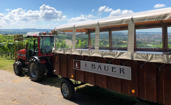 Weintour im Planwagen