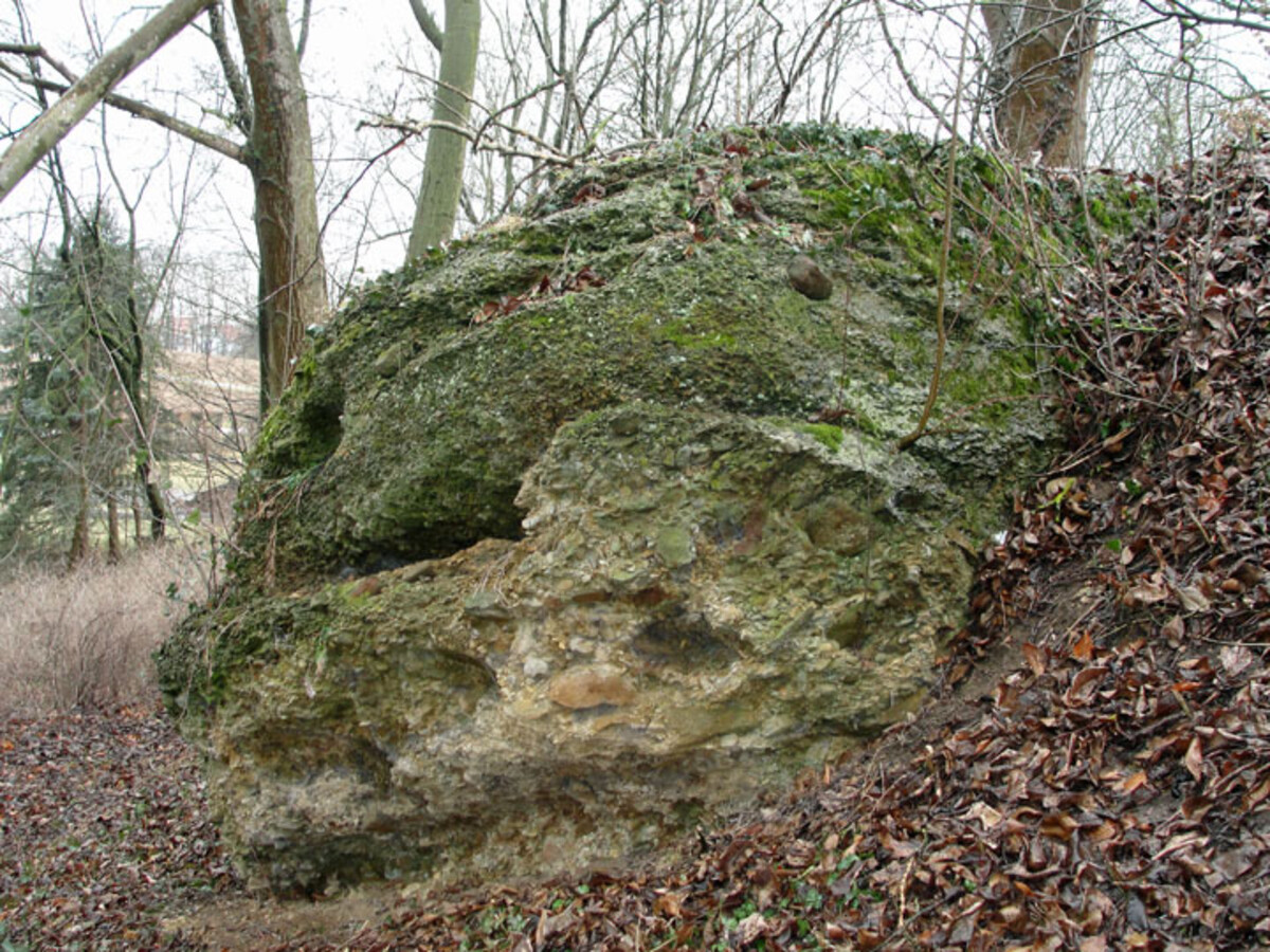 Nagelfluh-Felsen in Sontheim
