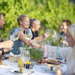 Genussabend im Weinberg
